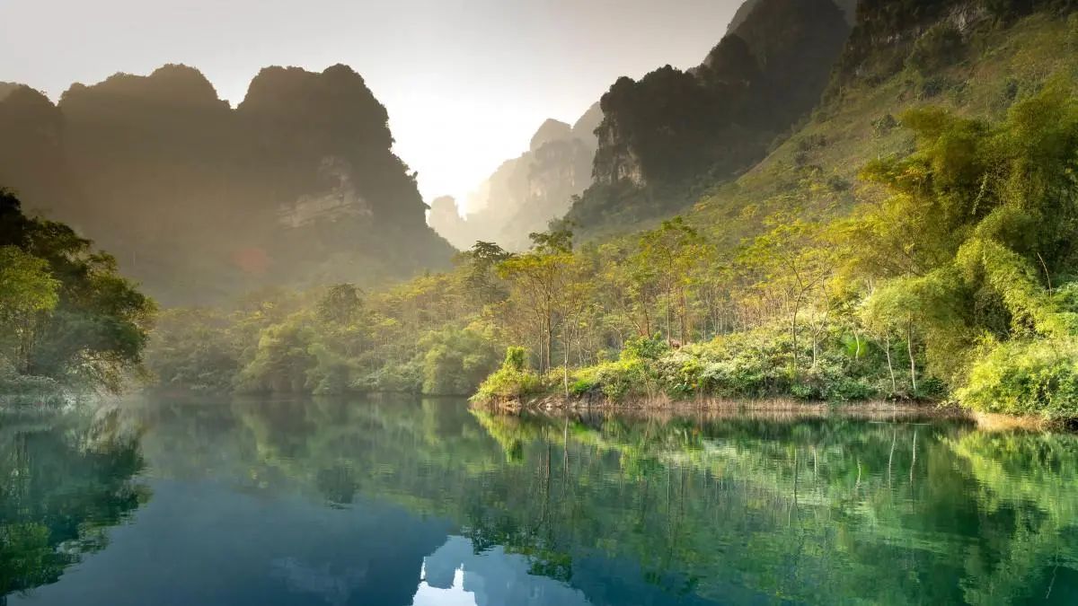 高效科技可靠性